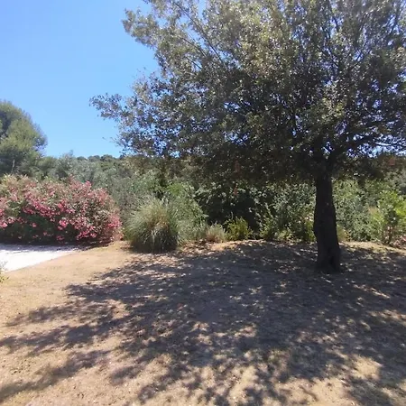 Avec Terrasse, Nature, A 15 Min A Pied * La Seyne-sur-Mer